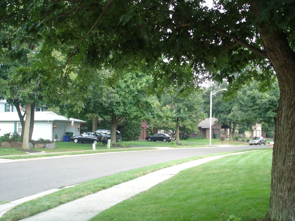 Cambridge Park Today